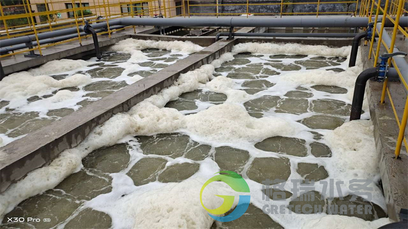 金泉环保污水处理项目 (2)